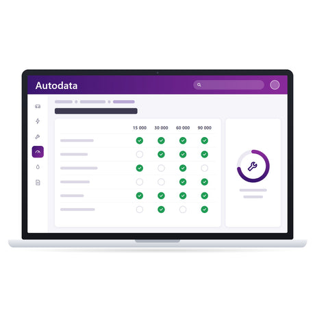 Autodata Software mit Wartungsplan und Serviceintervallen auf dem Laptop
